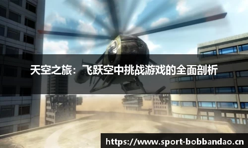 天空之旅：飞跃空中挑战游戏的全面剖析