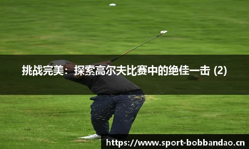 挑战完美：探索高尔夫比赛中的绝佳一击 (2)